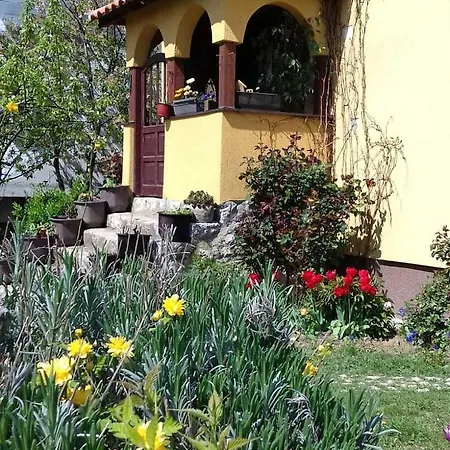 Jonovic Bed & Breakfast *