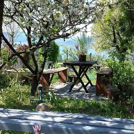 Jonovic Bed & Breakfast