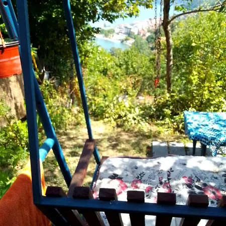 Bed & Breakfast Jonovic Donji Milanovac