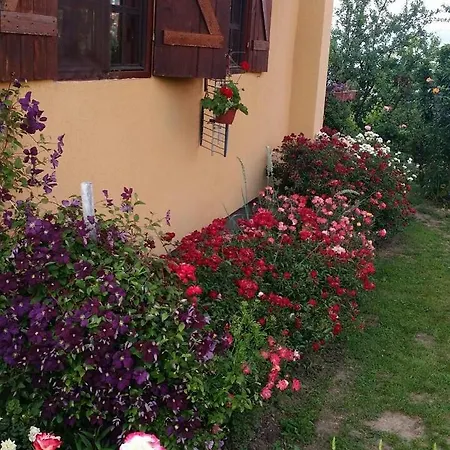 Bed & Breakfast Jonovic Donji Milanovac